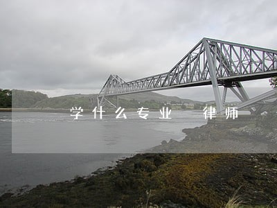 学什么专业 律师 学什么专业 律师